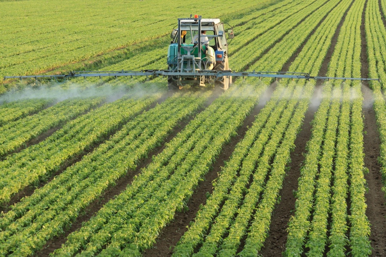 pesticidasplantacion