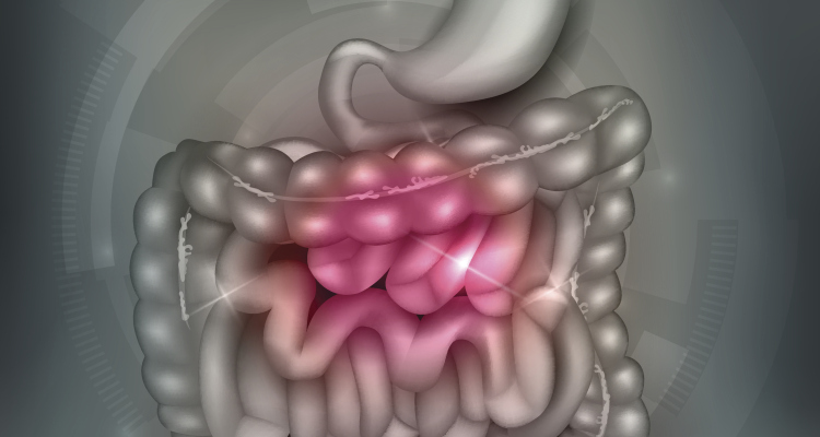 Gastrointestinal tract. Stomach, small intestine and colon, abstract grey mesh background. Beautiful bright illustration.