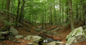 Parques naturales de Barcelona