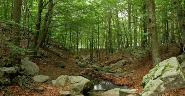 Parques naturales de Barcelona que la convierten en un paraíso terrenal