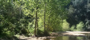 Parques naturales de Barcelona