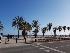 Playa de Poblenou