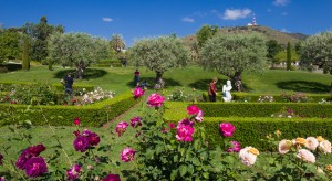 Jardín de las Rosas