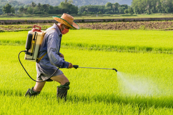 El agua y los pesticidas
