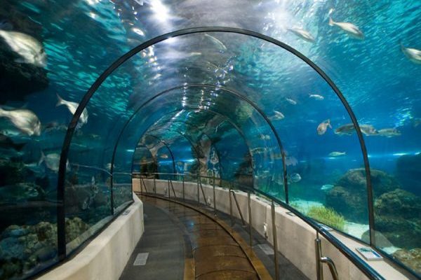 Aquarium de Barcelona